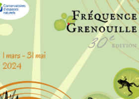 Fréquence Grenouille 2024