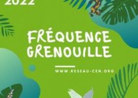 Fréquence GRENOUILLE : à la découverte des amphibiens du Trégor...