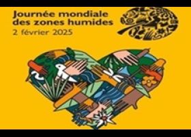 A la découverte des zones humides...